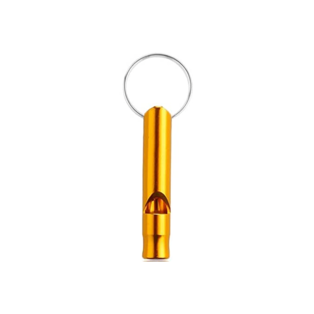 Whistle